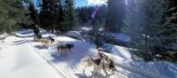 Dog sledding in Ontario wilderness trails on the Classic Canadian Winter Adventure