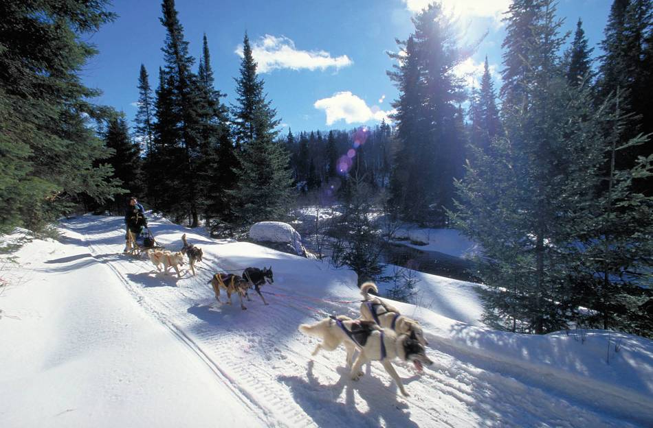 Dog sledding in Ontario wilderness trails on the Classic Canadian Winter Adventure