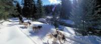 Dog sledding in Ontario wilderness trails on the Classic Canadian Winter Adventure