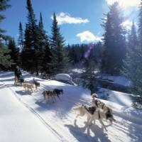 Dog sledding in Ontario wilderness trails on the Classic Canadian Winter Adventure