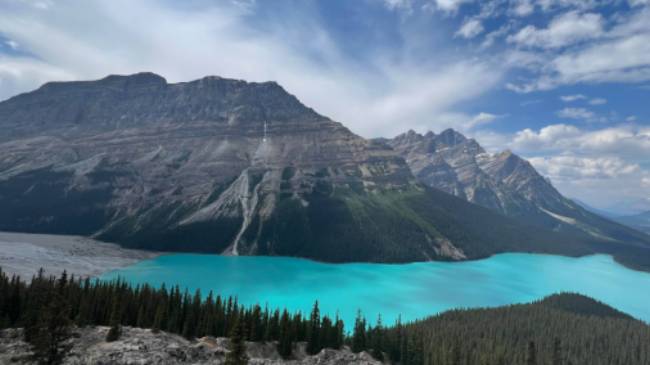 Gorgeous view from the Peyto Lake lookout | Kalaya Mckenzie