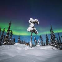 Winter under the Auroral Oval, Northwest Territories | Martina Gebrovska