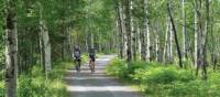 Cycling through Pt.Taillon National Park along Lac St. Jean, Quebec