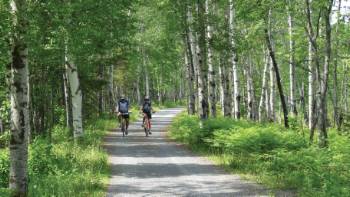 best guided bicycle tours