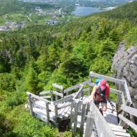 Stairway to Bawden Highlands, East Coast Trail | Caroline Mongrain