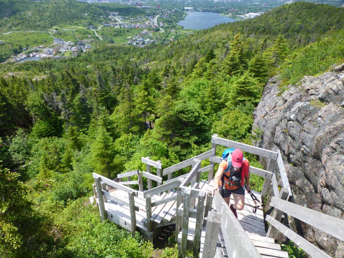 Stairway to Bawden Highlands, East Coast Trail |  <i>Caroline Mongrain</i>