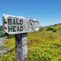 Nice day for a hike on the East Coast Trail | Sherry Ott