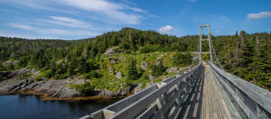 East coast on sale trail lamanche
