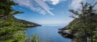 A wilderness path along Newfoundlan’s Avalon Peninsula | Sherry Ott