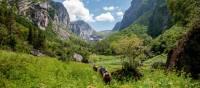 The start of the Long Range Traverse | Newfoundland & Labrador Tourism