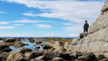 Green Point Geologic Site, Western Newfoundland