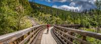 Wooden Trestle Bridges of the Kettle Valley rail trail near Kelowna, BC