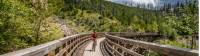 Wooden Trestle Bridges of the Kettle Valley rail trail near Kelowna, BC