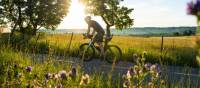 Bask in the sun amidst vibrant flowers on the Montagnarde trail | Charles Dion