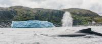 Capturing a whale and iceberg in one shot at Quirpon Island | Finn Beals