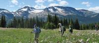 Hiking along the south side of Table Mountain, BC