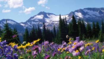 Outstanding alpine scenery of Wells Gray, BC