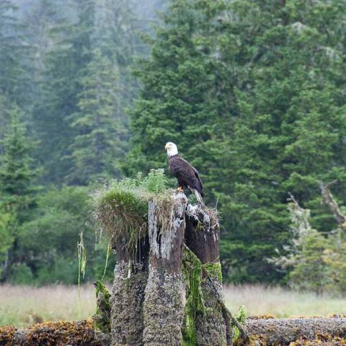 west coast trail guided