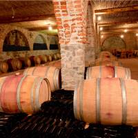 Visit a wine cellar at one of many Niagara wineries