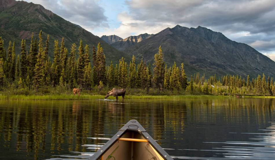 Wild views from the bow on the Yukon River