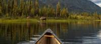 Wild views from the bow on the Yukon River