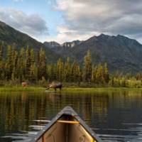 Wild views from the bow on the Yukon River