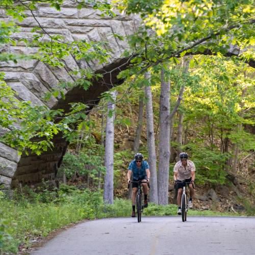 Acadia's Carriage Roads