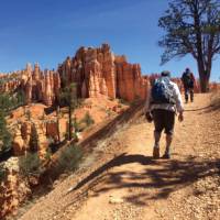 Dusty landscape as we hike through Bryce Canyon | Jake Hutchins