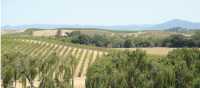 Enjoy a wine tasting on your self-guided Napa and Sonoma hiking tour. | Keri May