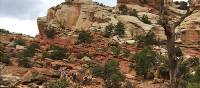 Trail through the heart of Capitol Reef | Jake Hutchins