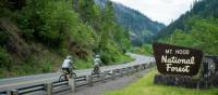 Cycling towards Mt Hood National Forest in Oregon | Alex Bacigalupi