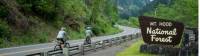 Cycling towards Mt Hood National Forest in Oregon |  <i>Alex Bacigalupi</i>