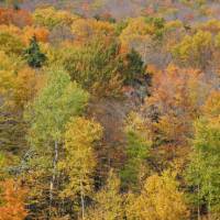 The famous fall colours of Vermont | VisittheUSA.com