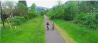 Slow down and experience the real USA by bike