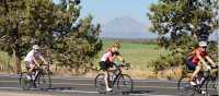 Cycling by peaks and pastures with good company