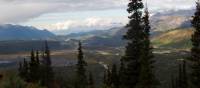 Looking out across Denali National Park | Jake Hutchins