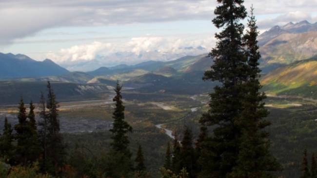 Looking out across Denali National Park | Jake Hutchins