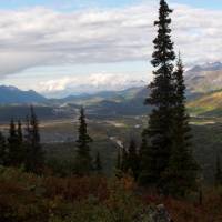 Looking out across Denali National Park | Jake Hutchins