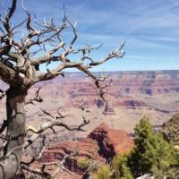 Grand Canyon National Park, Arizona | Nathaniel Wynne