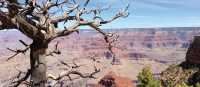 Grand Canyon National Park, Arizona | Nathaniel Wynne