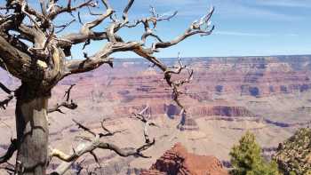 Grand Canyon National Park, Arizona | Nathaniel Wynne