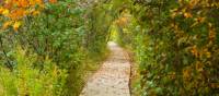 Scenic paved biking trail in Acadia National Park, Maine | ©VisittheUSA.com