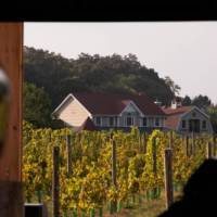 The North Fork of Long Island is known for its vineyards