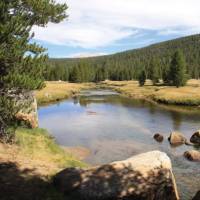The Sierra Nevada's's densely-forest valleys | Ken Harris