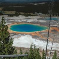 Multi-coloured geothermal pools in Yellowstone National Park | Sue Badyari