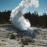 Old Faithful erupting in Yellowstone National Park | Sue Badyari