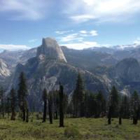 View to Half Dome, Yosemite National Park | Nathaniel Wynne