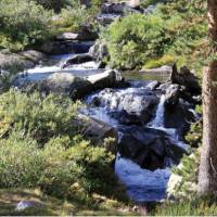 Serene forest waterfall in California's Sierra Nevada | Ken Harris