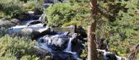 Serene forest waterfall in California's Sierra Nevada | Ken Harris