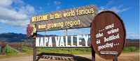 Welcome to Napa!